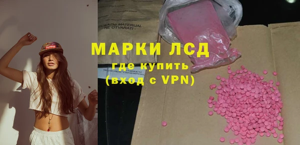 стафф Алзамай