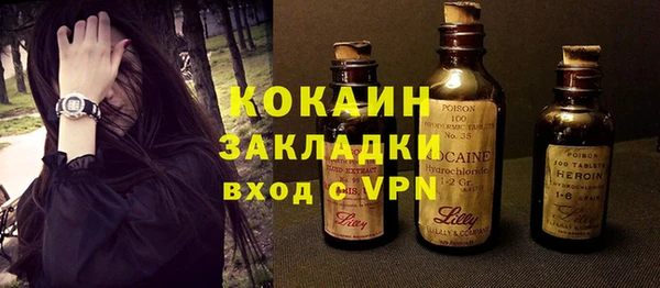 стафф Алзамай