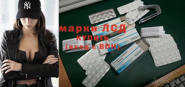 стафф Алзамай