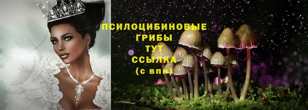 дмт Алексеевка