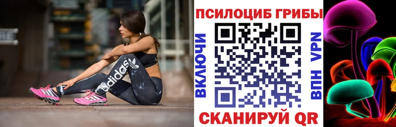 Псилоцибиновые грибы Magic Shrooms  где купить наркоту  Кола 